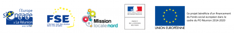 Logo - Bandeau PO Réunion FSE 2014-2020 {6}FSE L'Europe met des étoiles dans vos projets{6} (ID 267297)